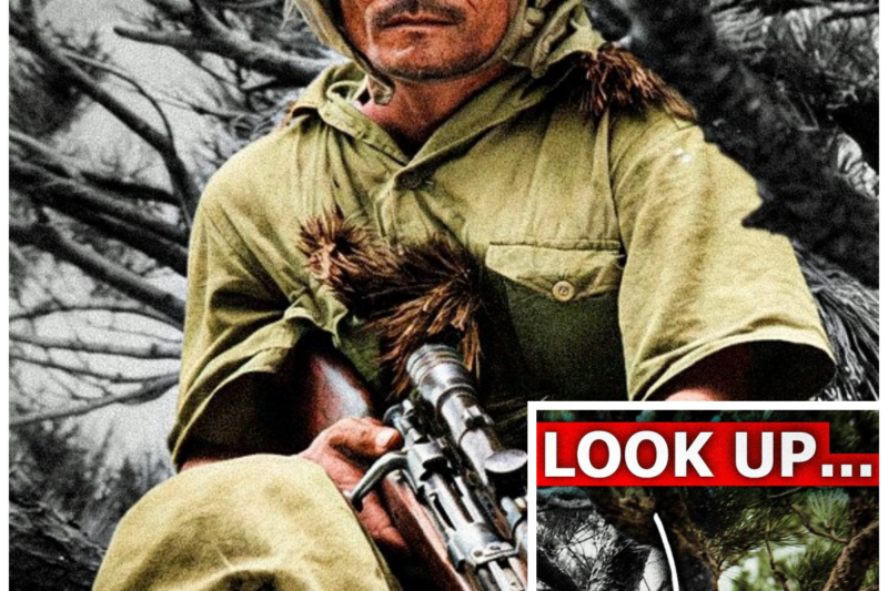 How US Marines Cracked Japan’s Sniper Problem No One Else Could