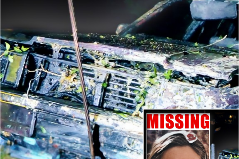 SOLVED 38-Year-Old Missing Person Case in 6 Hours… Maureen Sherman)