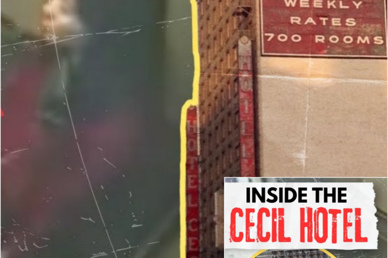 Amy Price Managed The Cecil Hotel. This is What She Saw.
