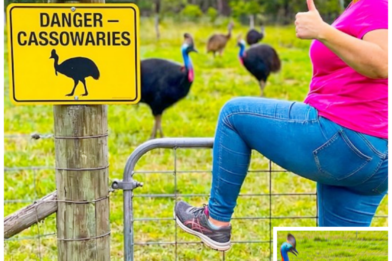 The Most STUPID Karens Who Died Ignoring “Private Property” Signs