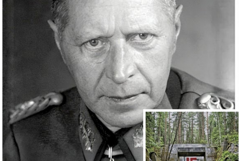 German General Vanished in 1945 — 80 Years Later His Hidden Forest Bunker Was Discovered by Accident