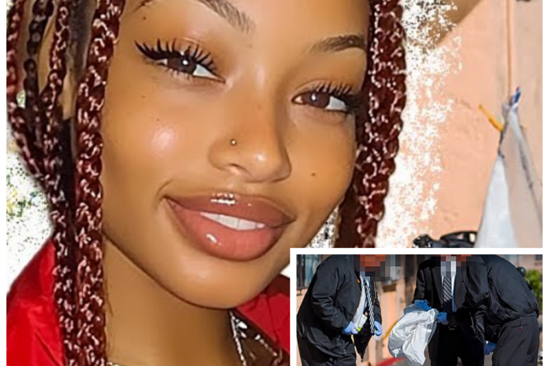 LA: Man K!lled Wife After Learning She Was Escort & Infected Him With Syphilis