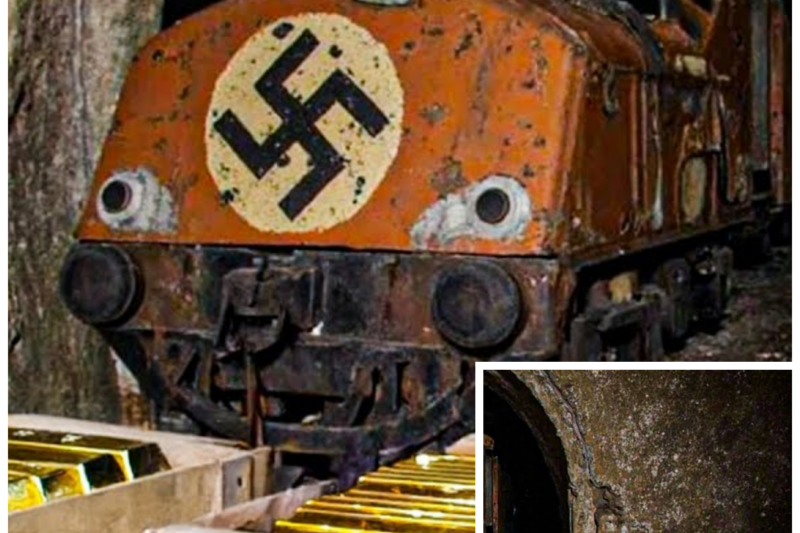 Hidden Nazi Gold Train Was Finally Found — What They Discovered in the Last Car Shocked The World!