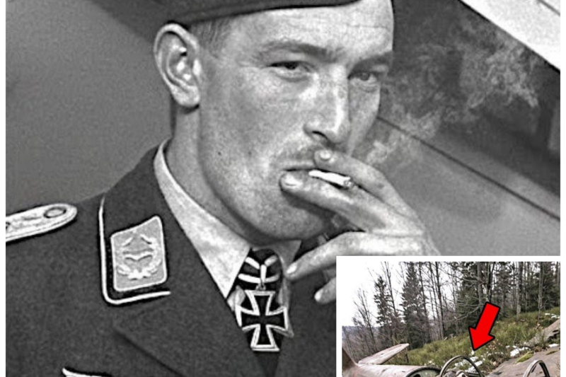 German Pilot Vanished During WWII — 82 Years Later, His Downed Plane Was Found in Eastern Poland