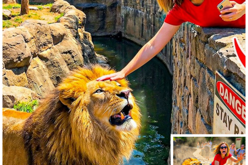 The Most DUMB Karens Who Died Trying To Pet Wild Animals