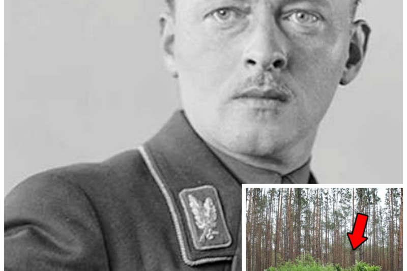 German Colonel Escaped Berlin in 1945 — 80 Years Later Secret Argentine Compound Revealed