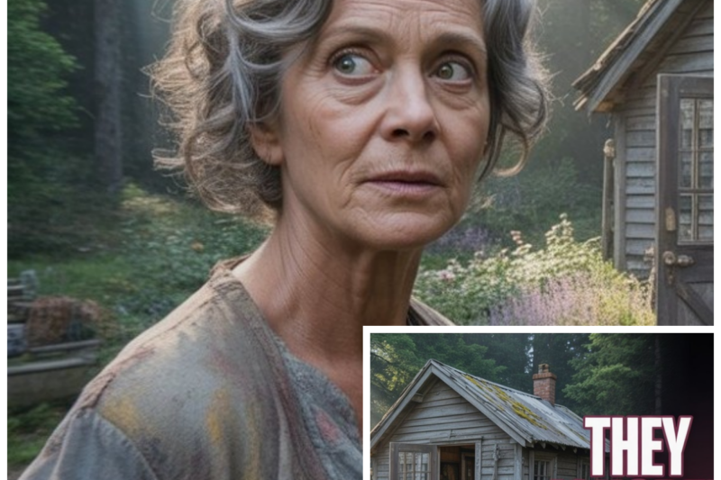 Her Children Took The House, The Car, And The Bank Account, But Forgot The Old Cabin Her Father Left