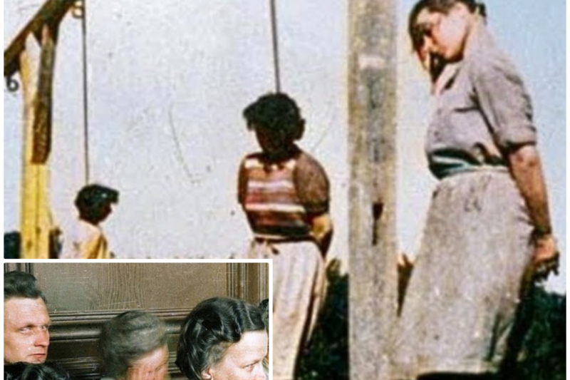 The Brutal Last Hours of Female Guards at Stutthof Concentration Camp *Warning REAL FOOTAGE