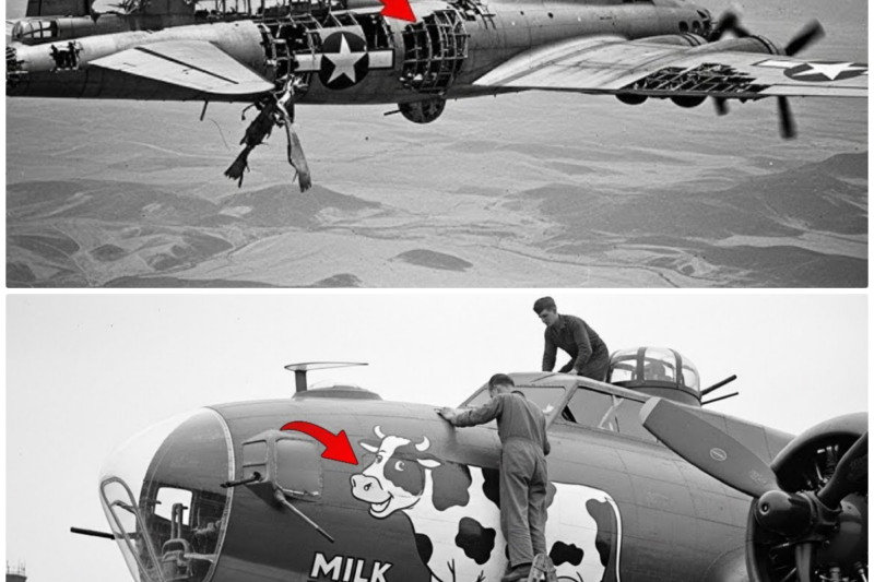 How One Mechanic’s “Stupid” Cow Paint Job Made His B-17 Unkillable