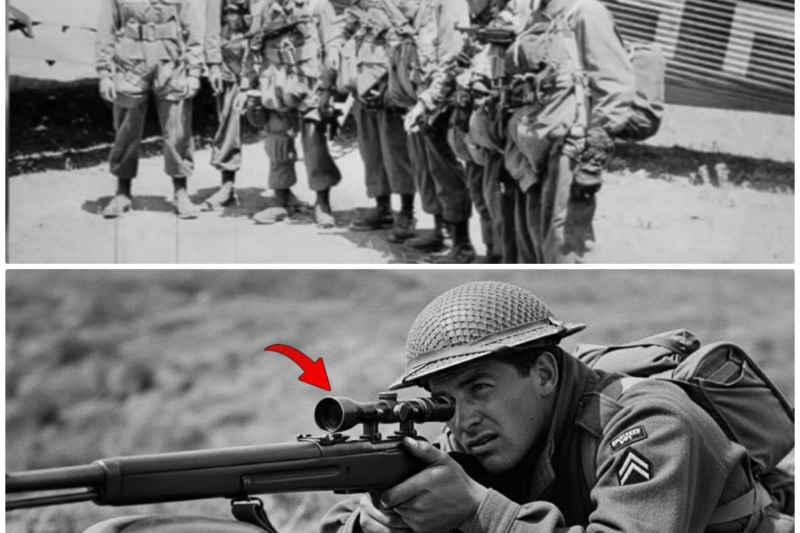 They Mocked His ‘Enemy’ Rifle — Until He Killed 33 Nazi Snipers in 7 Days