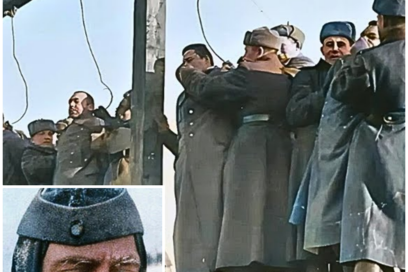 Why 91,000 German Soldiers Never Came Back from Stalingrad?