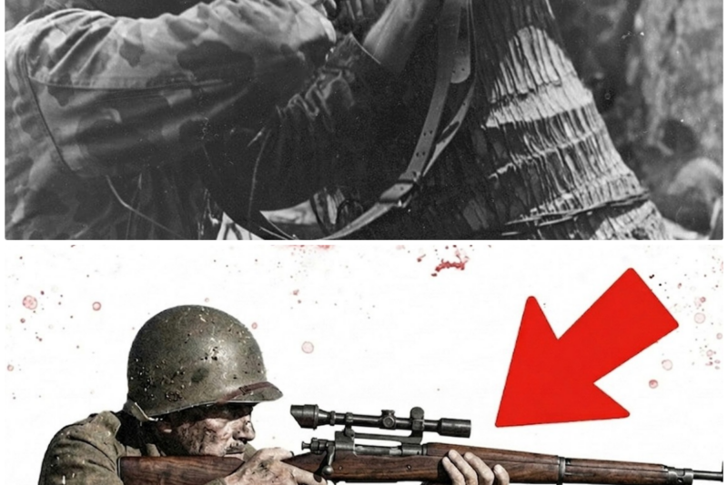 The Dark Reason Germans Hated the American .30-06 — The One Bullet That Won WWII