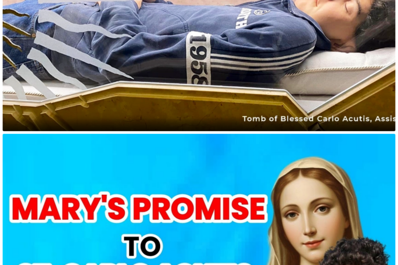Mary’s Promise to St.  Carlo Acutis before his Death