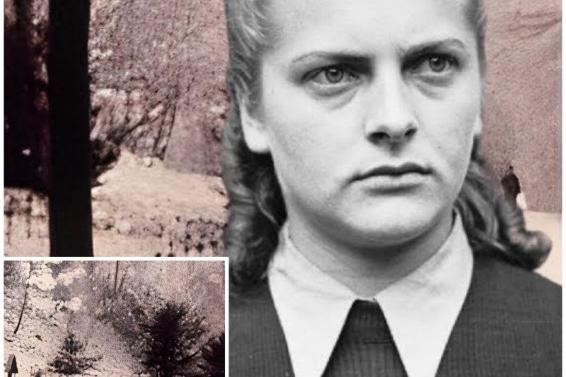 The Exhumation Of Irma Grese – Digging Up The Hyena Of Auschwitz