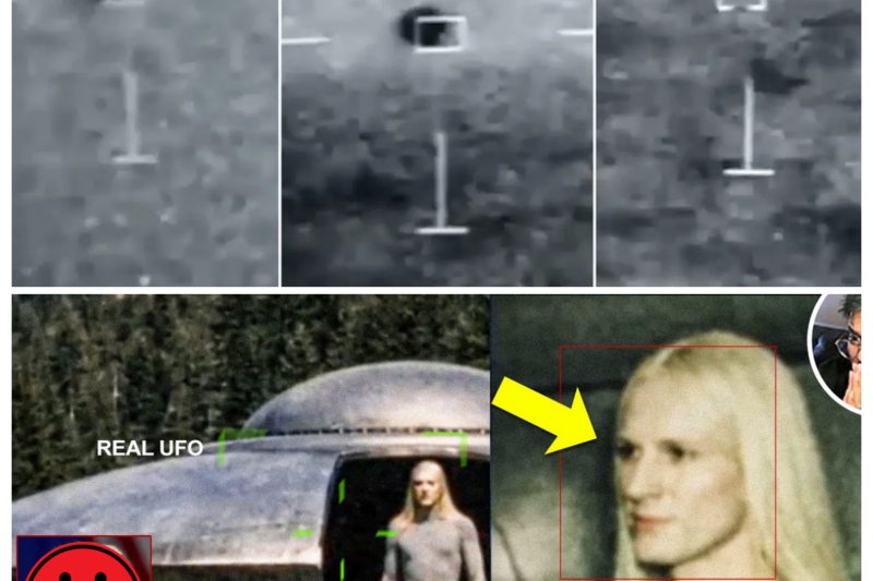 Real Aliens Revealed