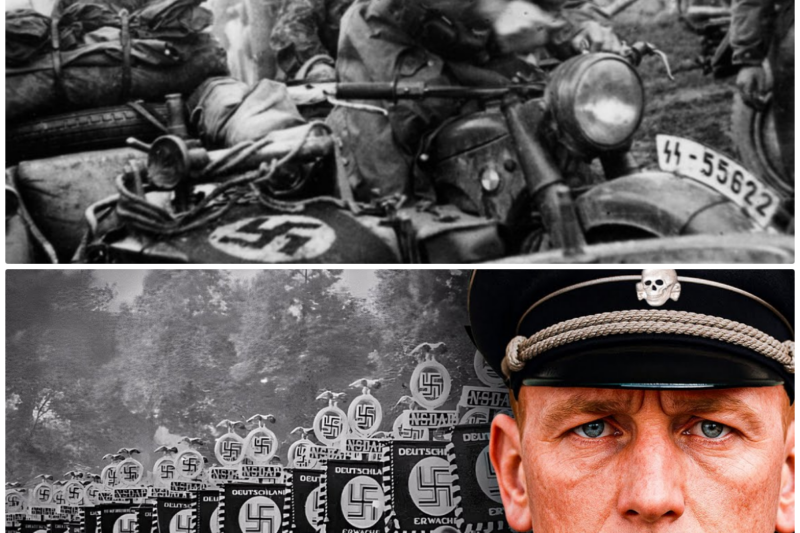 Where Did the Waffen SS Go After 1945?