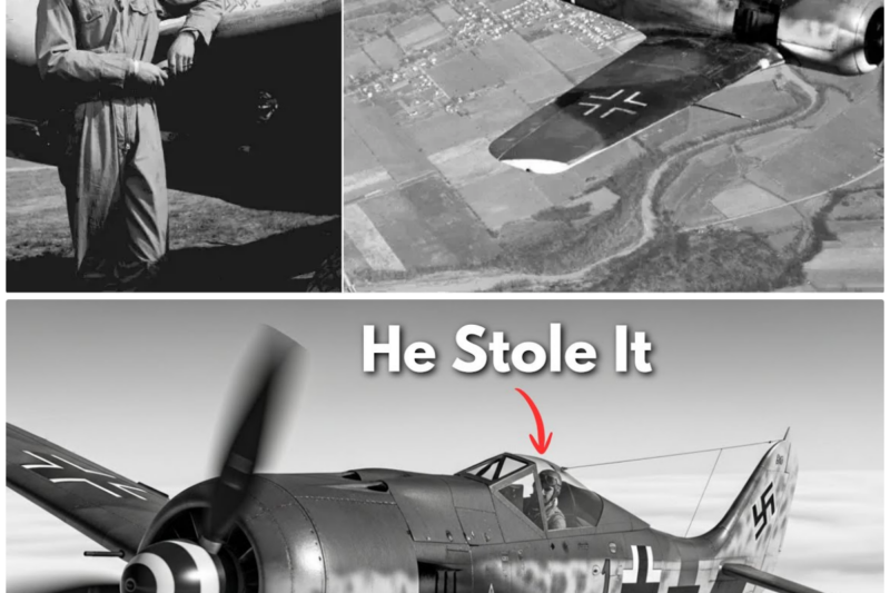 They Shot Down His P-51 — So He Stole a German Fighter and Flew Home