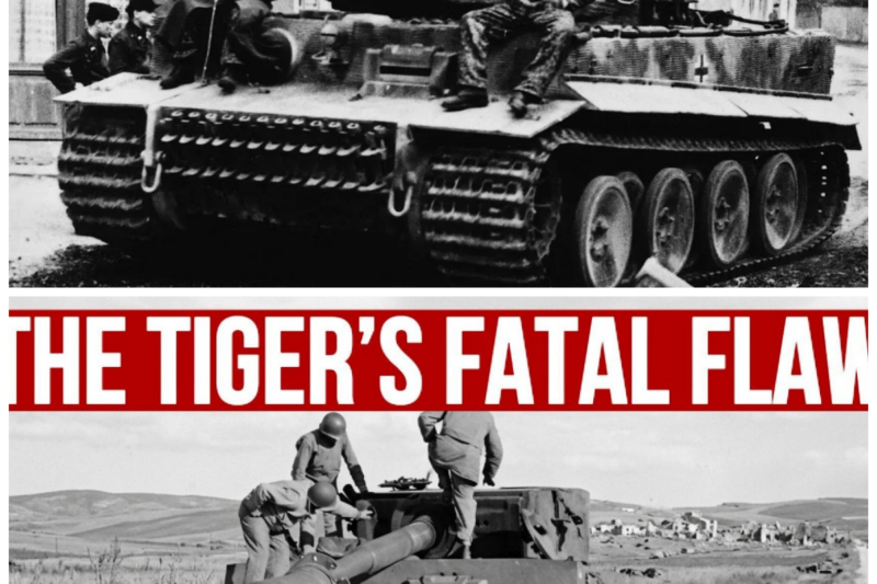 American Soldiers Found an Abandoned Tiger Tank. What They Discovered Inside Changed the War