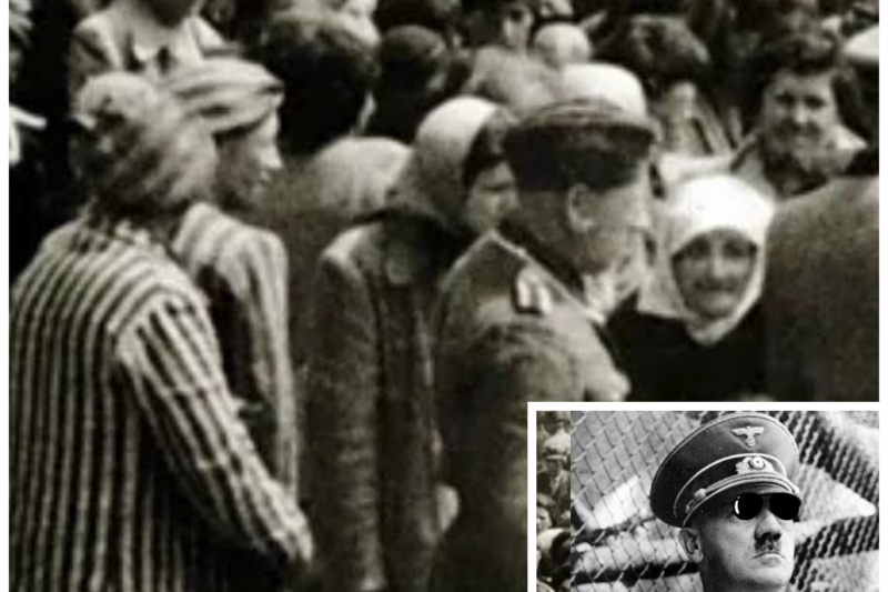 Why did Hitler persecute the Jewish people?