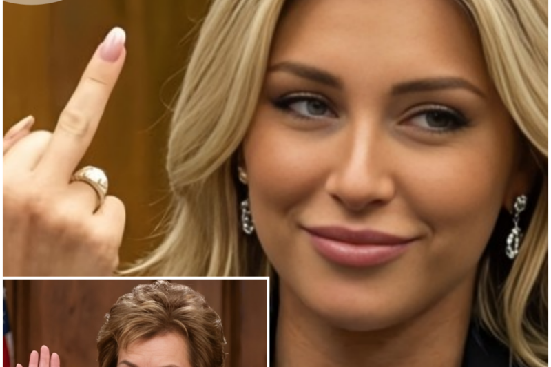 Arrogant Millionaire CEO’s Daughter Mocks Judge Judy, Gets Maximum Sentence INSTANTLY