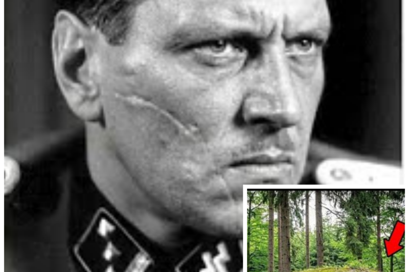 German Colonel Vanished in 1944 – 80 Years Later His Secret Forest Compound Was Discovered Accident