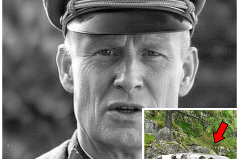 German Colonel Vanished Without a Trace — 80 Years Later, His Secret Hideout Was Found Inside a…