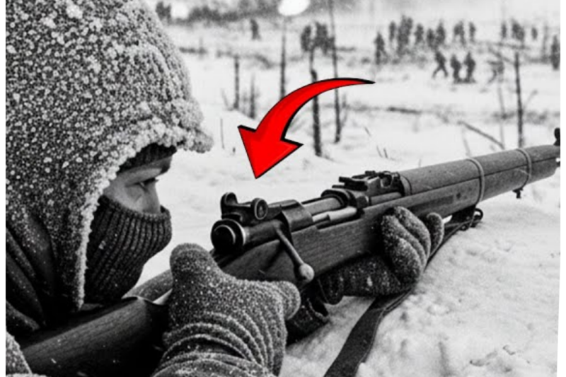 This Finnish Farmer Killed 542 Soldiers — And None of Them Ever Saw Who Was Shooting