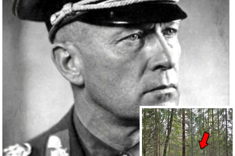 German General Vanished in 1944 — 81 Years Later His Hidden Forest Base Was Discovered by Accident