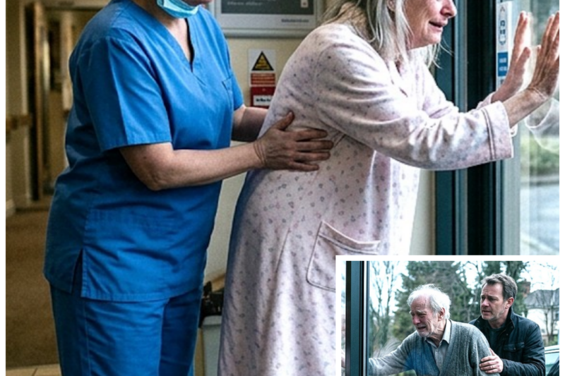 They Forced Elderly Couple Into Separate Nursing Homes — 4 Months Later, They Both Escaped And Built