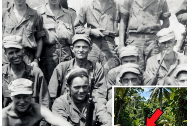 US Marines Vanished In Japan — 80 Years Later, Their Camp Was Found Buried In The Jungle