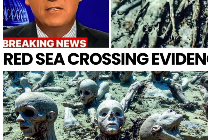 Scientists FINALLY Found Evidence For The Red Sea Crossing