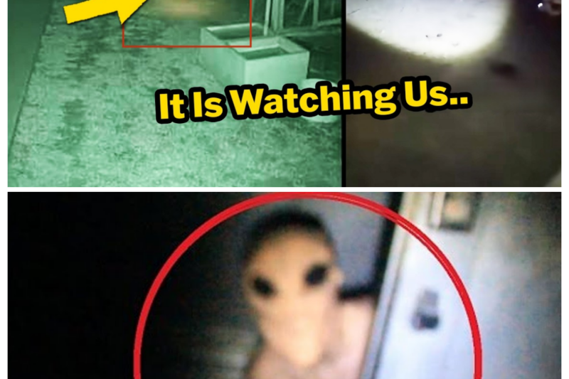The Terrifying Entity Locals Are Warned Never to Approach
