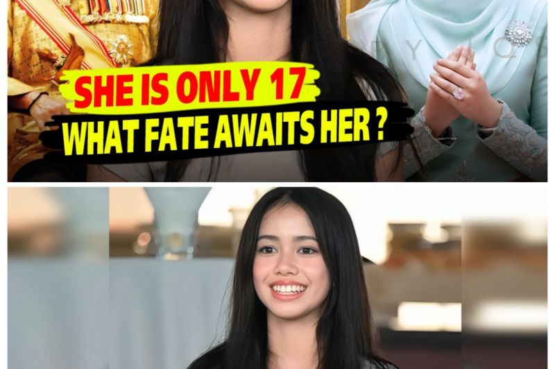 The Most Beautiful Princess in Brunei: How Ameerah Lives Today and What Fate Awaits Her