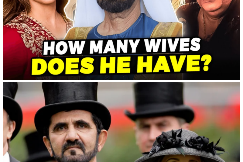 The Dark Truth About Dubai Ruler’s Wives Revealed in 2024!