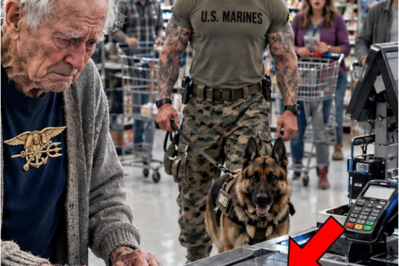 90-Year-Old Navy SEAL Was Trading His Medals for Groceries — A Marine and His K9 Stepped In