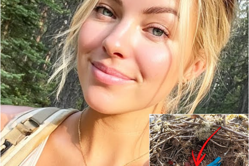 Girl Vanished on Mount Rainier – 9 Months Later THIS Was Found Inside Hawk’s Nest…