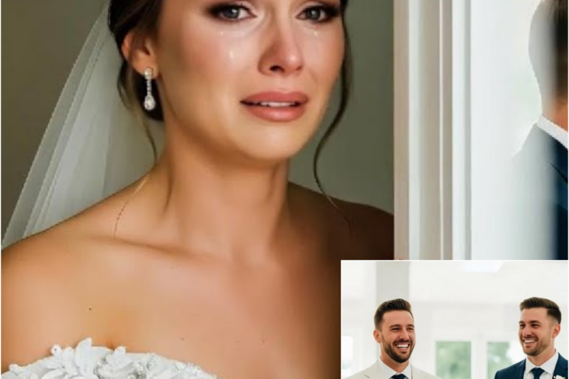 Before the wedding began the bride overheard the groom’s confession and her revenge stunned everyone