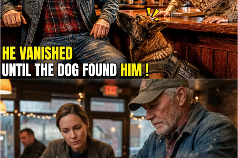USMC Spent 10 Years Searching for Him — Until a K9 Sat at the Old Farmer’s Feet and Froze