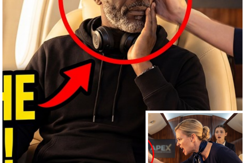 Attendant Slapped Black Billionaire on His Jet — 10 Minutes Later He Destroyed Her Career