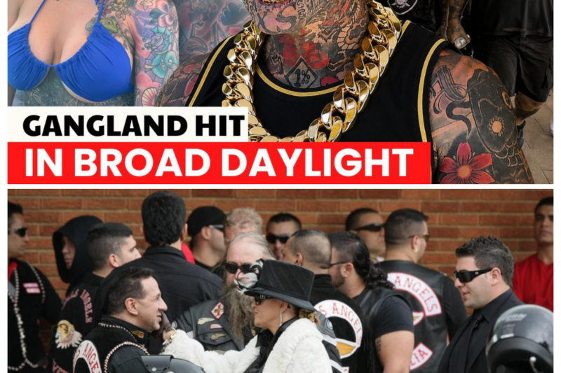 The Brutal Attack That Shocked Australia’s Biker Underworld