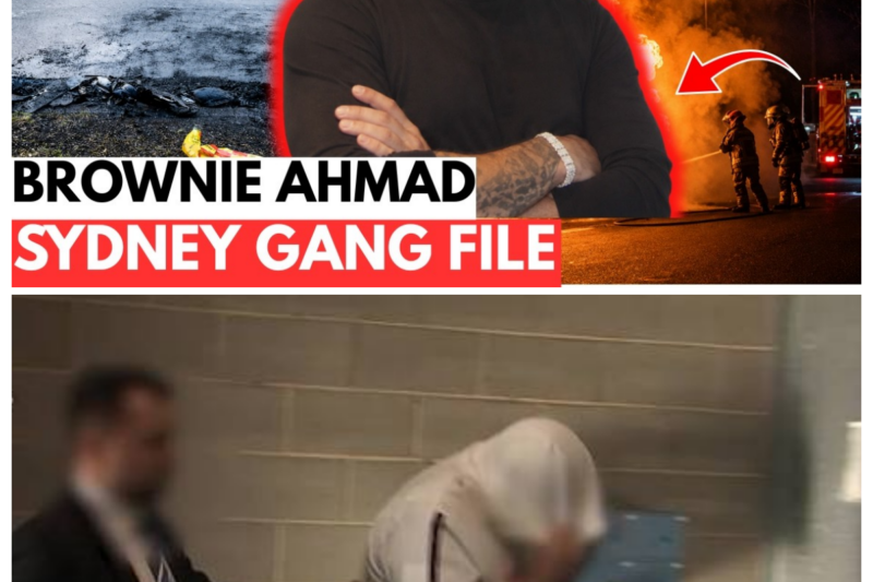 Mahmoud Ahmad Case | Greenacre, Task Force Erebus and the Porsche