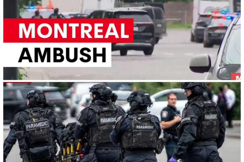 Montreal shooting leaves three dead in ambush