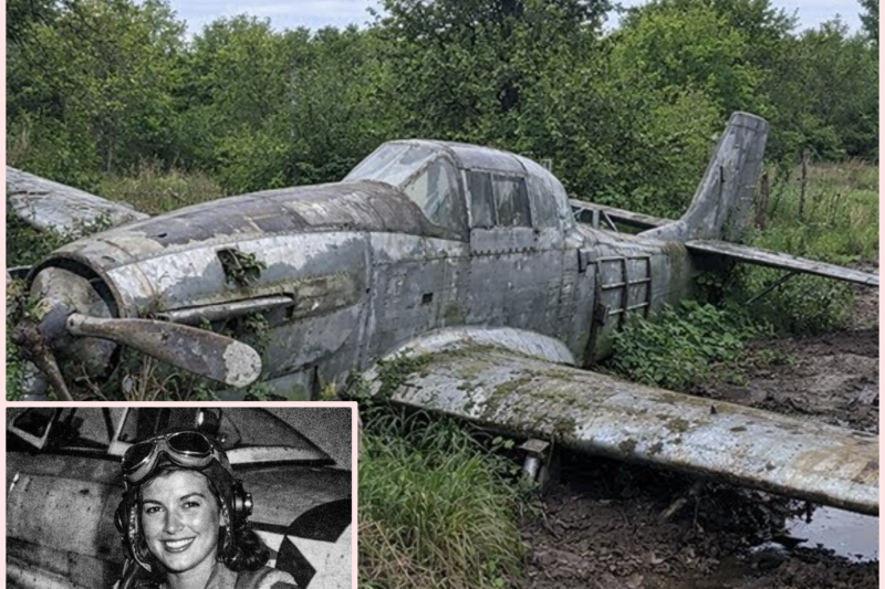 Fighter Pilot Vanished in 1944 — 70 Years Later, Her Plane Was Found Abandoned in a Forest…