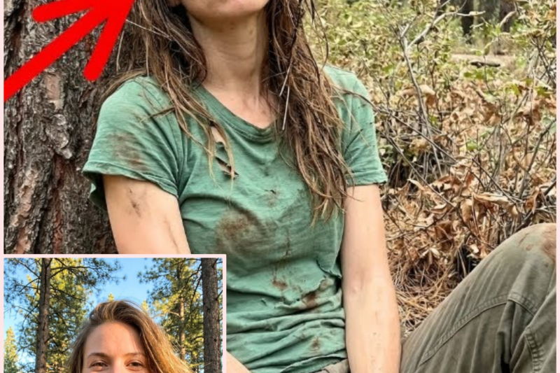 Tourist Vanished In Arizona – Found 3 Years Later Deep In Woods, Looking EXTREMELY THIN and Tired