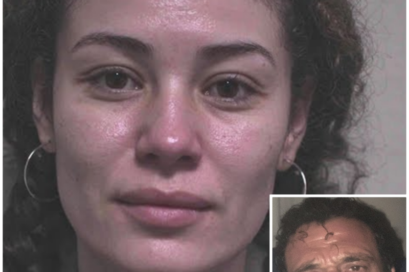 Pilot from Dubai COMMITS a CRIME against His Wife — After Learning She Was Pregnant by Another