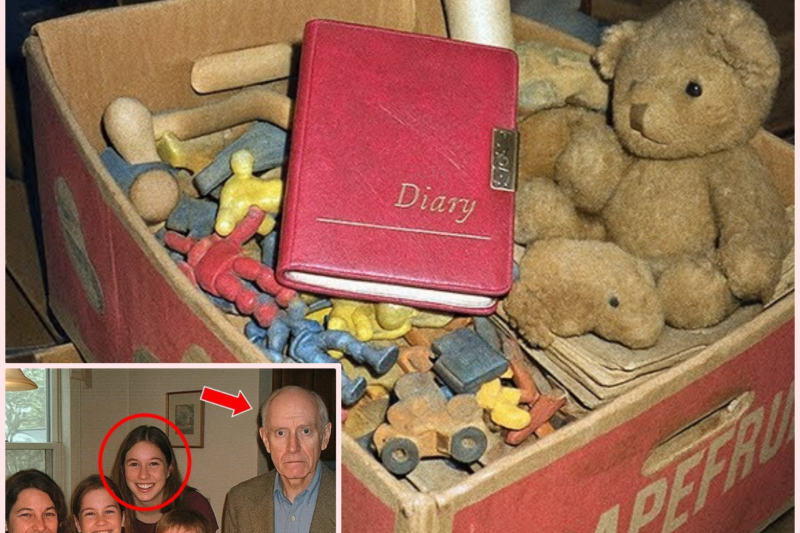 8 Years After His Sister Vanished, He Found Her Diary — What It Said Made Him Call Police…