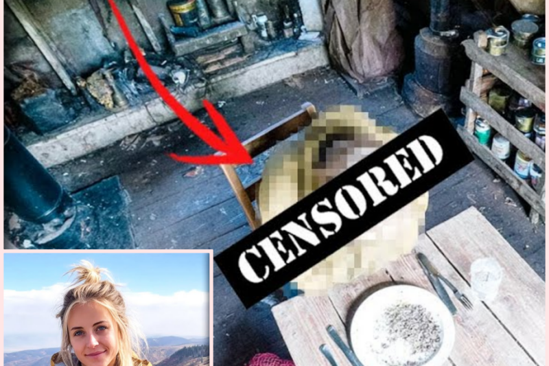 SHE DISAPPEARED INTO COLORADO’S DEADLIEST MOUNTAINS. THEN SEVEN YEARS LATER SEARCHERS OPENED A FORGOTTEN CABIN AND FOUND A TABLE PERFECTLY SET FOR TWO.