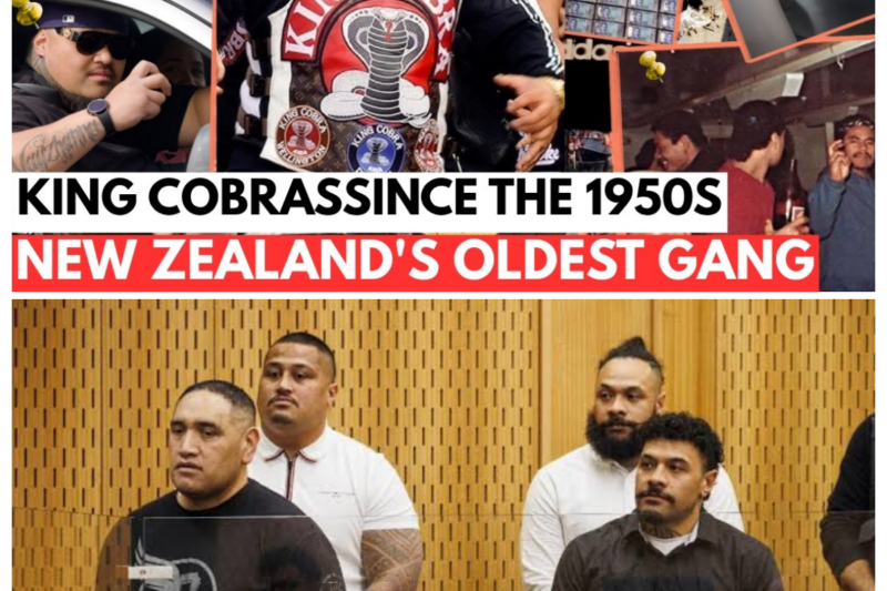 King Cobras: The Untold Story of New Zealand’s Oldest Gang — 70 Years and Still Standing