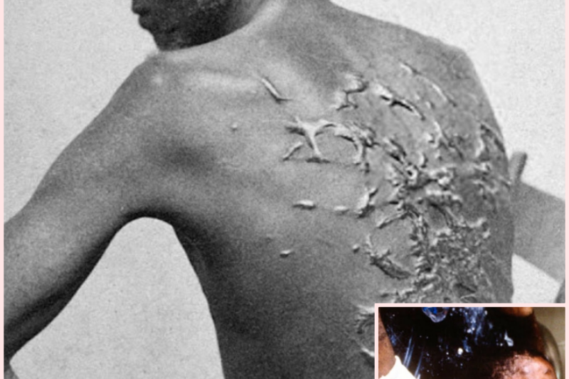 The HELL of Torture Methods Used on Cotton Plantations