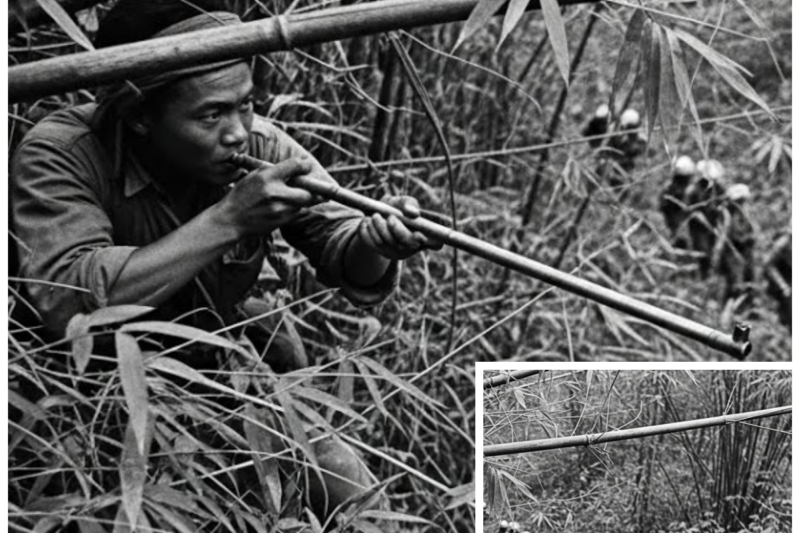 They Laughed at His Bamboo Device — Until One Filipino Corporal Stopped an Entire Column